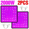 1000w pełne spektrum LAMPA LAMPA LED LAMPOWY 2PCS dla roślin uprawy lekki namiot Fitolampy Phyto UV IR Red Blue 225 LED Flowlants