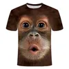 Summer 3D T Shirt Print Animal Monkey Gorilla Short Sleeve Funder Casual Top T Shirt Men حجم كبير 6xl 220712