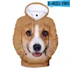 Moletom moletons masculinos masculinos de elefante elefante tigre orangotango 3d Casual Mulher Animal Sweatshirt