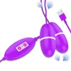 NXY Vibrators kraftfulla USB-laddning Dubbelbringande ägg 12 Speed ​​Clitoris Stimulator G-Spot Vaginal Massager Bullet Vibrator Sexleksaker för kvinnor 0407