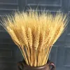 Flores artificiais de 23 cm de trigo de trigo