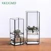 Nordic Transparent Glass Dubbelskikt Hydroponic Succulent Växt Vase Geometri Växtblomma Inserter Heminredning Blomsterkruka T200104