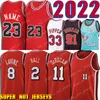 DeMar 11 DeRozan Zach 8 LaVine jersey basketball 2 Lonzo Ball thrwoback 23 Michael Scottie 33 Pippen jerseys Dennis 91 Rodman