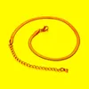 Chokers Bijoux de mode tendance Gold Couleur en acier inoxydable Girl Femme Chaîne de serpent Chaîne courte Choker Collierschokers280c