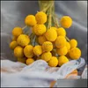 Decorative Flowers Wreaths 20Pcs Craspedia Billy Ball Natural Dried Bouqet Arrangement In Vase Preserved For Decoration Wedding Home Drop