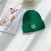 القبعات 2022 الشتاء قبعة السيدات قبعة صغيرة محبوك الباردة الدافئة حماية الأذن البطيخ الرجال والنساء