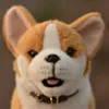 Jakość symulacji zwierzęcia corgi psa pluszowe zabawki wielkie walijskie puppy pluszowe zwierzęta lalka dla dzieci Prezent urodzinowy 49 cm Dy10086