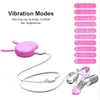 Vibrador de mamilos adultos brinquedos sexy grama para mulheres clitóris de clitóris Controle remoto Massagem mamária 10 velocidades carregamento USB