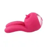 20RD Silikon Kaninchen Vibrator G-punkt Klitoris Stimulation Magnetische USB Aufladbare Massagegerät Erwachsene sexy Spielzeug für Frauen