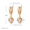 Syoujyo Round Sparkling Natural Zircon Pendant örhängen Trend 585 Rose Gold Christmas Gift Jewelry for Women 220719