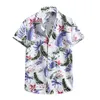 Мужские повседневные рубашки большая кусок рубашки для манфезерных принтов ежедневно короткие гавайские тройки с длинным рукавом мужчины, мужские упаковывают мужские графики.