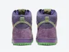 Authentic High Pro SB Reverse Skunk Purple Strawberry Cough Men Shoes University Spinach Green Magic Ember Outdoor Sports Sneakers