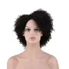 Afro Winky Wave Wigs African Curly Hair Curl Spiral Spiral Curl