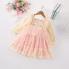 Flickans klänningar Sommar Autumn Dress Cute Tulle Baby Girl Pink First Birthday Party Princess Clothes 2-8ygirl