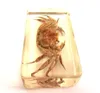 5 pcs fashion paperweight real insect crab jewelry