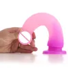 Godemiché de Massage rose en Silicone pour femmes, énorme gode réaliste, Masturbation féminine, pénis, jouets érotiques sexuels pour adultes, Plug Anal, 2021