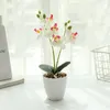 Couronnes de fleurs décoratives Phalaenopsis à cinq fleurs à deux volets Bonsaï Fabricant de fleurs artificielles Décoration de plantes de simulation