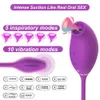 2 In 1 Sucking Vibrator Vibrating Egg sexy Toys for Women G spot Clitoral Stimulator Nipple Licking Orgasm Female Masturbatoe 18
