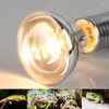 Cultivez des lumières pour animaux de compagnie chaud ampoule chauffante projecteur R80 220V 110V 75W E27 amphibie Animal Reptile lézard tortue serpents grenouille garder au chaudGrow