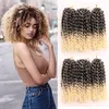 8 tum Passion Twist Hair Short MarlyBob Crochet Hair 3 Small Bundles/Lot Synthetic Ombre Flätförlängningar Små Afro Kinky Curly Braid LS05