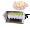 Petite machine manuelle à coques d'œufs, éplucheur d'œufs d'oiseaux bouillis