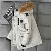 Down Jacket Mens Fashion Workwear Style Young Puffer Jas