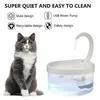 Circolazione automatica per gatti per animali domestici Alimentatore per fontanelle Forniture per filtri per bevande Distributore di acqua durevole 220323