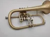 New Arrivalbb Flugelhorn Brass Musical Musical Professional مع إكسسوارات الحالة