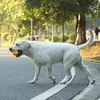 Chien mâcher des jouets pour animaux de compagnie fournit la boule de latex Sound Small Medium Dog Hortensia Molaire résistant à la bouchée Anti-démolition