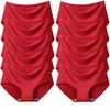 Pantidas para mujeres Trowbridge 10pcs/set La ropa interior sin costura sólida de las mujeres de tamaño grande y cómoda calzada de satén lencería de satén