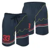 Shorts pour hommes Survêtements Pantalons de course F1 Formula 1 Team Clothing Fan Respirant Beach