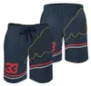 Pantaloni da corsa F1 pantaloncini Formula 1 Team Abbigliamento da uomo Fan Abbigliamento Casual Pantaloni da spiaggia traspiranti222F