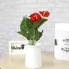 Decoratieve bloemen kransen 1bunch kunstmatige bloem nep anthurium boeket groene radijs bruiloft arrangement kersthuis decoratie