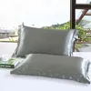 Pure Mulberry Silk Pillow Case Ice Washed Single Imitation