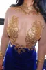 2022 Sexiga fantastiska höghalsade sjöjungfrun prom klänningar transparenta spetsar långärmad applikationer spets kungblå aftonklänningar B0513317Q