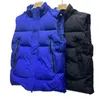 Gilet da uomo 2022 New Down Warm Coat Gilet giovanile Gilet marea Colletto Slim Gilet