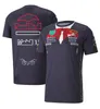 T-shirt de pilote d'équipe officiel F1 du même style, nouvelle combinaison de course à manches courtes, haut décontracté à séchage rapide, personnalisable, 2023