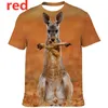 chemise kangourou