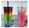 24OZ verloop acrylic tumblers 710ml plastic tuimelaars met deksels en corlorful rietjes dubbele muur sippy cup met stro herbruikbare beker