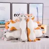 Jouet en peluche chat mignon, poupée longue, oreiller de sommeil, cadeau pour enfants, poupées 5084475