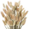 Decoratieve bloemen kransen dekoratie pampas natuurlijk staart gras gedroogd feest ambacht plakboek boeket phragmites bruiloft decoratie homedeco