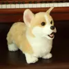 Peluche Corgi chien Pop jouets Simulation peluche Animal à pattes courtes réaliste pour amoureux de luxe décor à la maison Animal de compagnie J220704