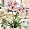 63 cm Home Europese stijl decoratie imitatie bloem kunstbloem clivia hand vilt flanellen zijde bloem woonkamer vloer pl 220408