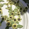 Decorative Flowers & Wreaths Mini Sunflower Pressed Dried For Resin Natural Flower Jewelry Making Soap And Candle 12pcs/24pcsDecorative