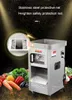 220V Commercieel elektrisch vlees Slicer 300-500 kg/H Vlees snijmachine Vleesmolen Groentedicer