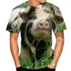 Summer Novelty Animal Pig 3D Tryckt Mens Tshirts Funny Piggy Polyester Round Neck Kort ärm Löst toppar Överdimensionerade T -skjortor 22068154397