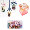 Dekorative Blumen Kränze Box echte getrocknete Blütenblüten Trockenpflanzen für Kerzenepoxidharz Anhänger Halskette Herstellen von Handwerk DIY Materialdekorative WR