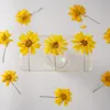 Guirnaldas de flores decorativas Flor seca Coreopsis Basalis DIY Pegamento por goteo Arte de uñas prensado Jabón Vela Fabricación de papel Hecho a mano Hogar 7979402