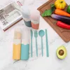 4Pcs Portable Wheat Straw Dinnerware Set Chopsticks Spoon Knife Fork Cutlery Set for Picnic Camping Tableware With Utensil Box Y220530