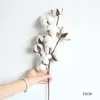 Decorative Flowers & Wreaths Naturally Dried Cotton Artificial Plants Floral Branch For Wedding Party Decoration Fake HomeDecorative